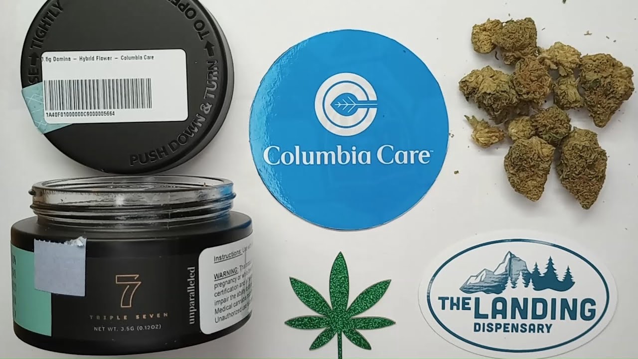 Thriple 7 Domina Flower Review