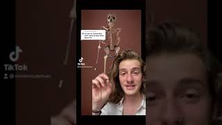 Archeological Morsel Ep. 1 The Turkana Boy