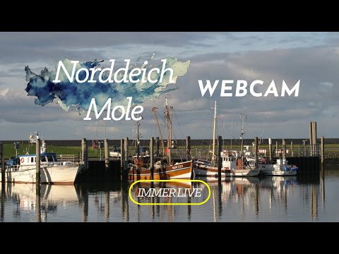 Norddeich Mole Harbor live cam preview
