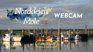 Live vom Fähranleger und Hafen in Norddeich Mole