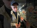 Эксклюзивные  модели и редкие экземпляры.Обзор, подбор и доставка.Все детали — в Telegram