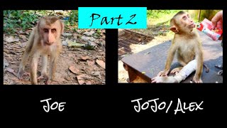 JoJo To Joe - Part 2 screenshot 4