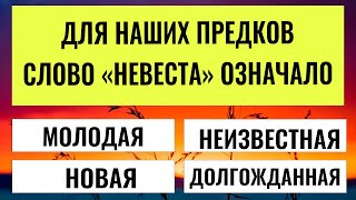 видео: Насколько хорошо работает ваш мозг? 20 вопросов  покажут, насколько ты умнее 95% людей картинка: Насколько хорошо работает ваш мозг? 20 вопросов  покажут, насколько ты умнее 95% людей