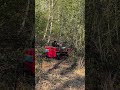 Ferngesteuerter Schlegelmulcher 1200mm "Big" im Einsatz: 15 PS Diesel Power