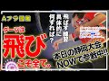 【ここ気付けて上達】ダーツを狙うと飛ばすは違うよというお話。