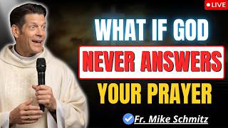 What If God Never Gives You What You Want? | Fr. Mike Schmitz