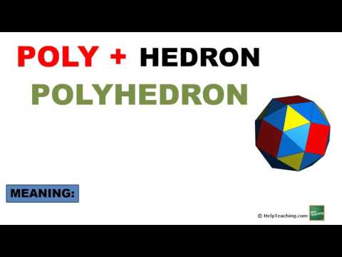 Vocabulary Lesson: The Prefix Poly-