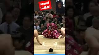 grand sumo japan#shorts
