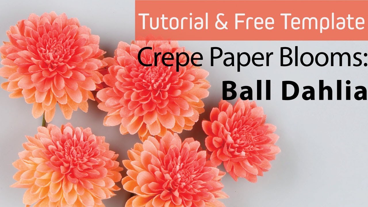 [Free Template & Tutorial] Crepe Paper Blooms #6:  Ball Dahlia 볼달리아 종이꽃 만들기 / Crepe Paper Flower DIY