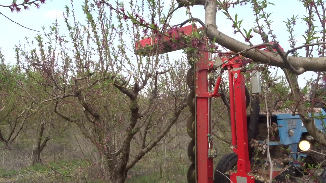 Υδραυλικό Περιστροφικό Κλαδευτικό Δένδρων με Δίσκους Σειρά T