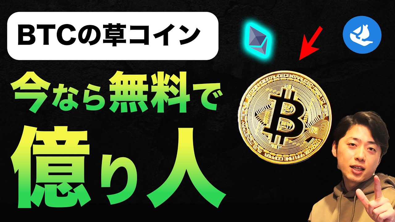 ビットコイン上の草コイン】いきなり1300億流通したBRC-20コインの買い方について完全解説【BRC20 NFT】 - YouTube