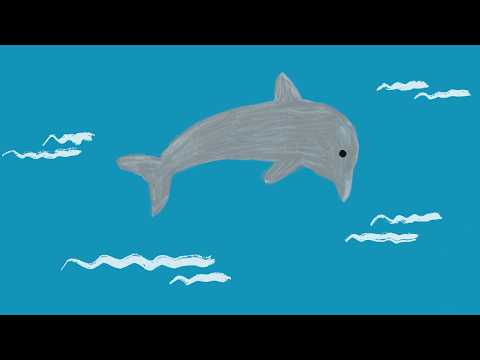 Playlist | 제주도에서 돌고래보면 로또 사야해