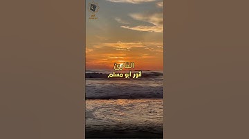 #القرآن_الكريم #القارئ_أنور_أبو_مسلم