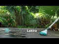 Aspirateur de piscine Kokido Lektra - Raviday Piscine