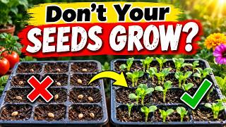 Don't Your Seeds Grow? Why Are My Seeds Not Germinating? - Reason & Remedy