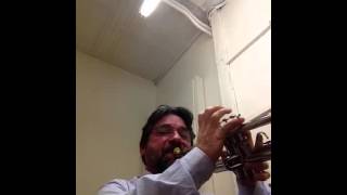 High Notes Trumpet