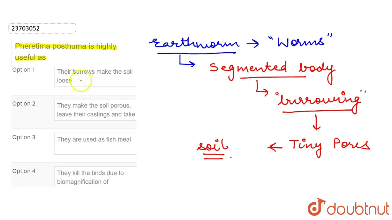 Pheretima posthuma is highly useful as | 12 | ANIMAL TYPES | BIOLOGY ...