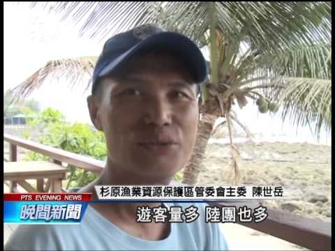 未列保育類 台東硨磲貝又被盜採 20140605 公視晚間