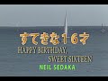 (カラオケ) すてきな16才 / NEIL SEDAKA