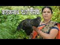 म.प्र. का कड़कनाथ मुर्गा  म.प्र कि रेसिपी /  black chicken recipe/ Kadaknath recipe