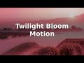 Twilight Bloom Motion | Dream Flow | Gentle Field