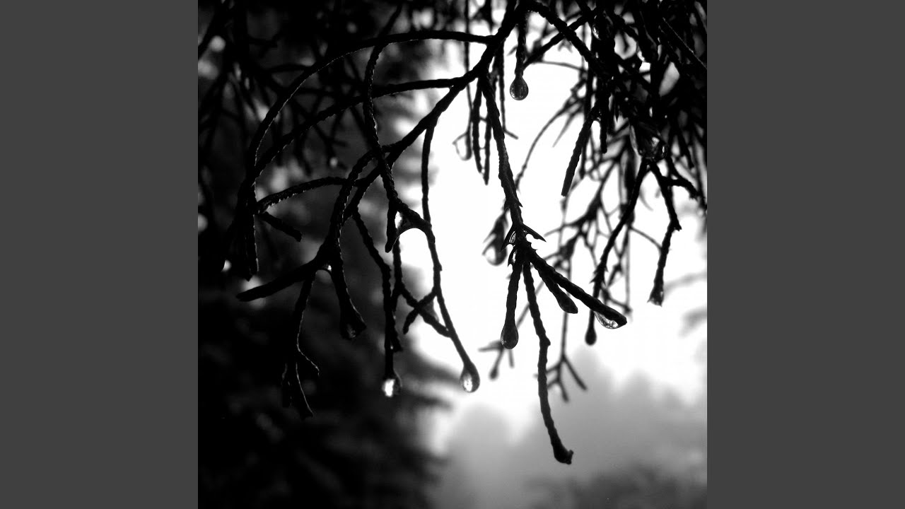 Alone adlı videoyu YouTube'da izle Alone adlı videoyu YouTube'da izle