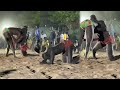 DERBY POINTE SARÉNE NGUEL DIONE VS MBINE MOUSSA LAMB FADIAL 16 mai 2026