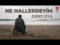 EŞREF ZİYA "NE HALLERDEYİM"