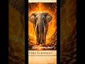 The Four Types of Elephants 🐘✨ #explorepage #motivation #adoreble #petlife #tiger #petlovers