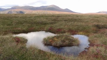 Peatlands and water