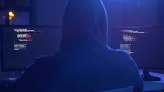 CISSP - LearnKey Course Promo Net Worth