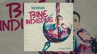 The Motans - Bine Indispus | Big UP Remix