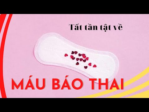Video Máu báo thai xuất hiện khi nào? có mùi không? | Phạm... - youtube