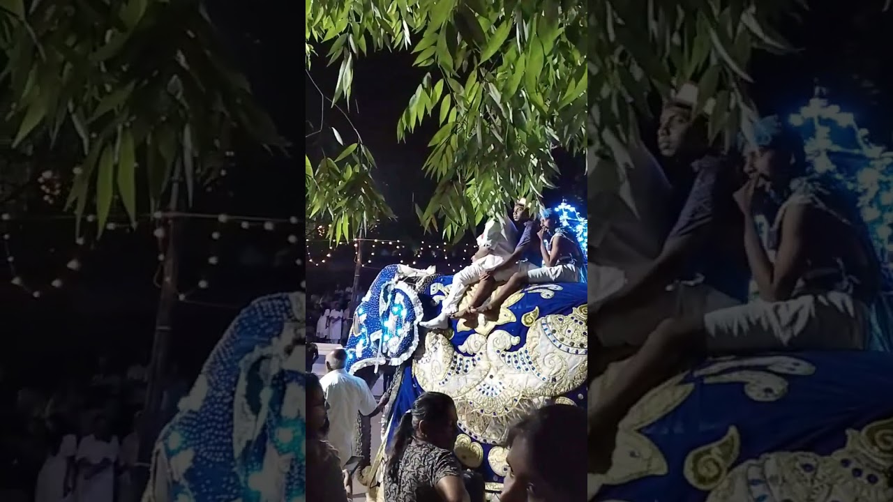 කැලණිය රජමහා විහාරයේ අවසන් රන්දෝලි පෙරහැර  (Final Randoli Perahera - Kelaniya Temple