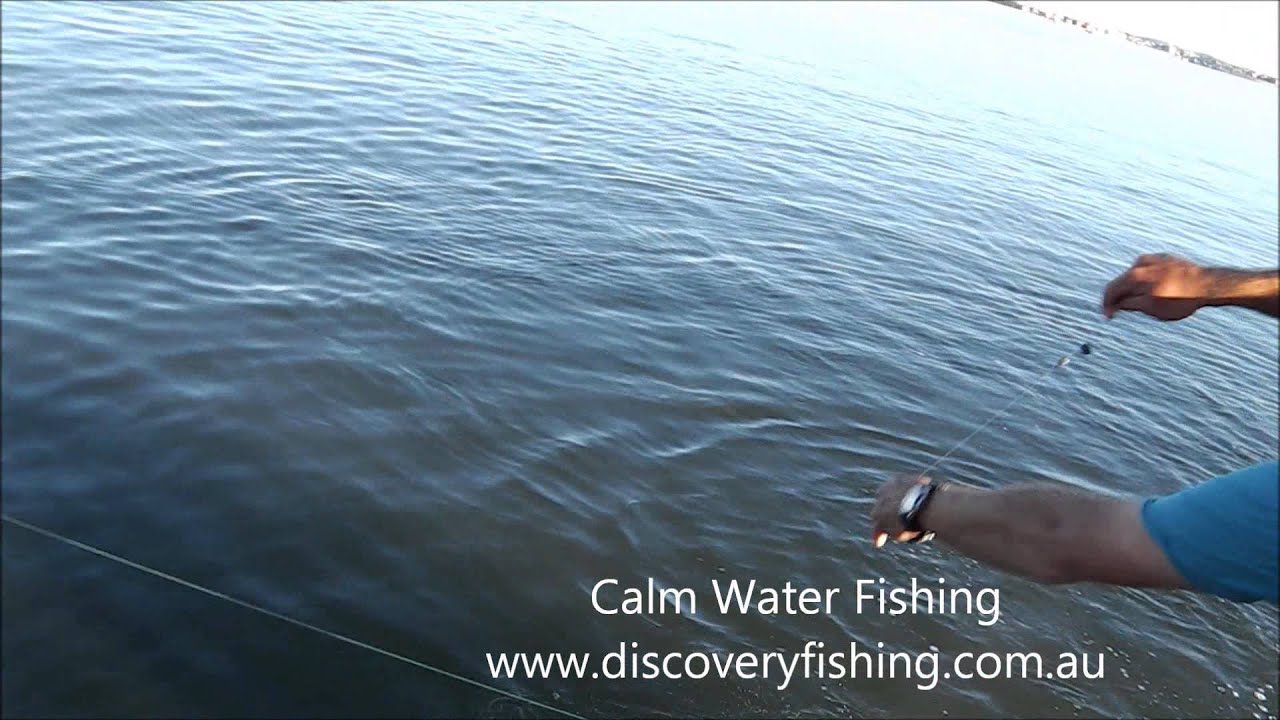 Gold Coast Fishing Charters with Tailor Fish YouTube