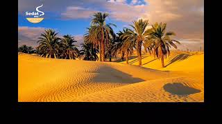 Arapça Neşid - El-Kadir Olan Allah - Türkçe Altyazılı Nasheed 🌴