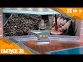 OIL TV | Выпуск от 19 мая | Русагро Масло