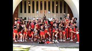 Navarro Cheer 20172020