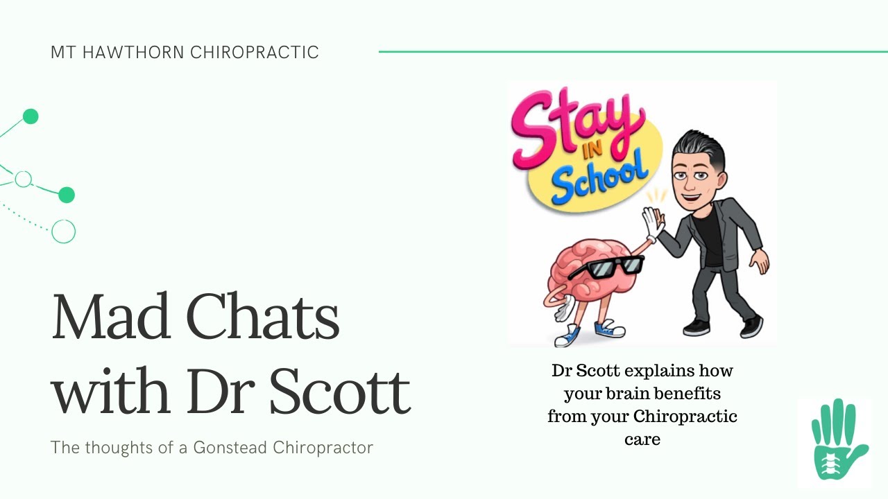 Mt Hawthorn Chiropractic | Gonstead Chiropractic | "the big idea" | Neurological function