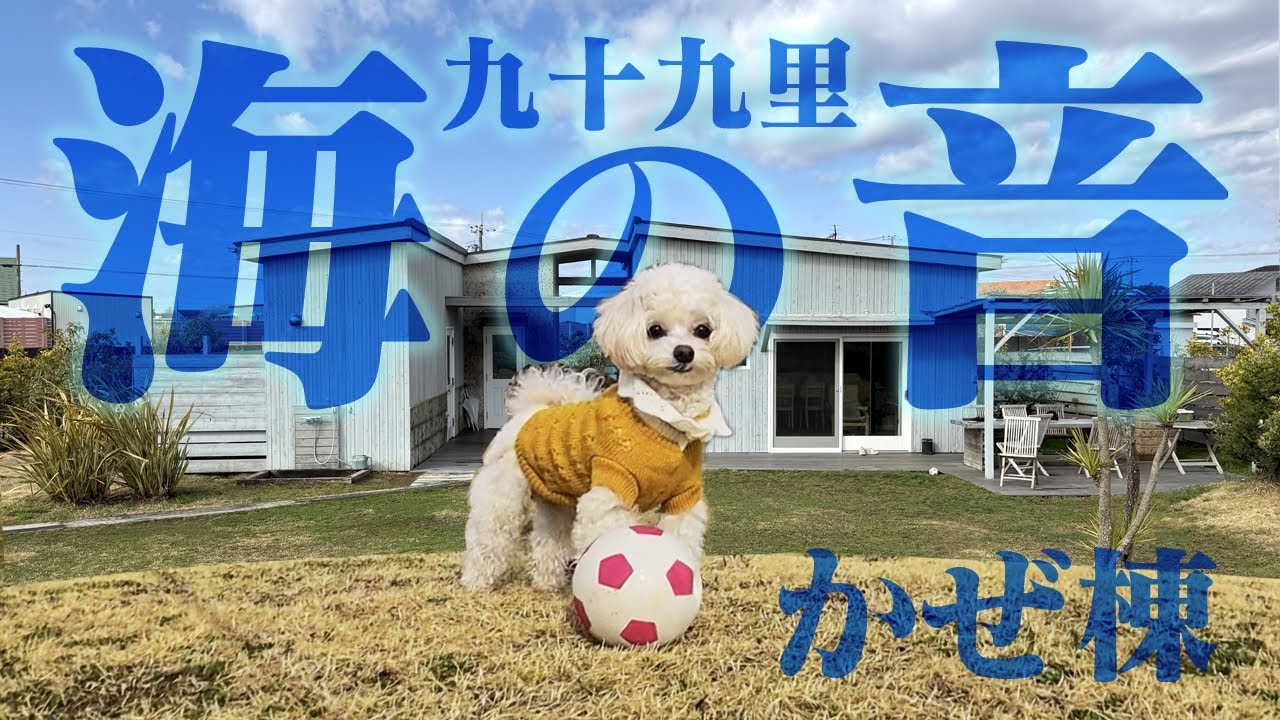 【ワンコ旅】九十九里 海の音【チワプー】