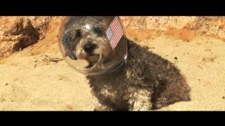 The Martian Trailer (Starring a Dog)