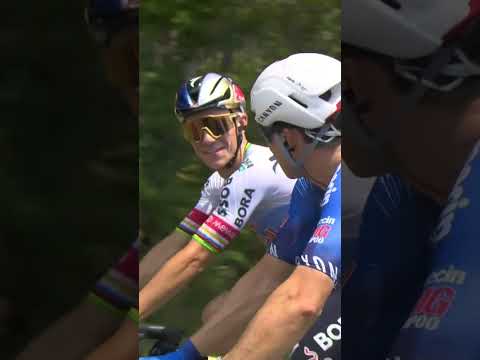 Remco Evenepoel hyping up fellow Belgian Jasper Philipsen 👊🇧🇪