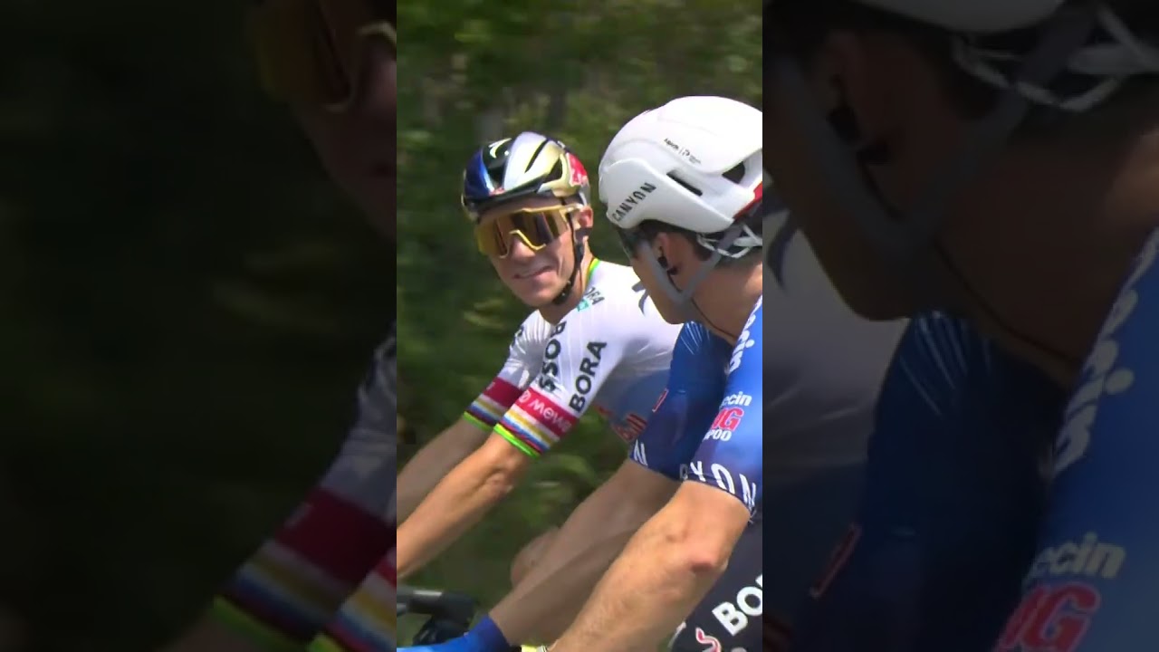 Remco Evenepoel hyping up fellow Belgian Jasper Philipsen 👊🇧🇪