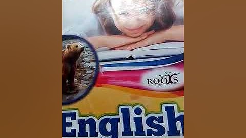 English Class Prep Lecture 15 | By Arfa | Falcon School System