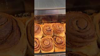 Sourdough Cinnamon Rolls Recipe