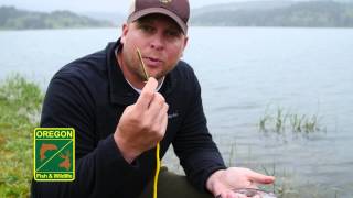 Segment 11: How to Handle a Fish – How to Fish for Trout in Oregon Wealth