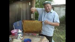Цветочный майский мед(Цветочный майский мед., 2012-05-31T14:45:05.000Z)
