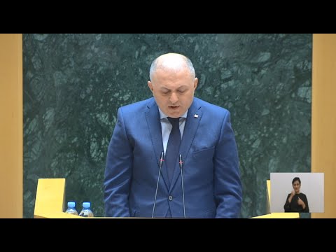 სუს-ის უფროსის, გრიგოლ ლილუაშვილის მოსმენა პარლამენტში