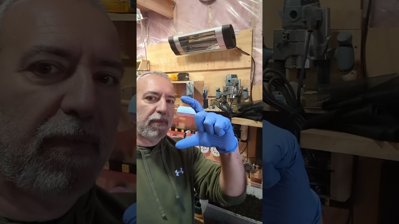 Time to plant seeds and start making Sweet Potato slips 