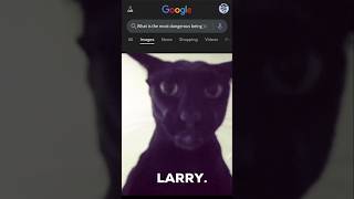 What is the most dangerous cat? You know the answer. Larry. #shorts